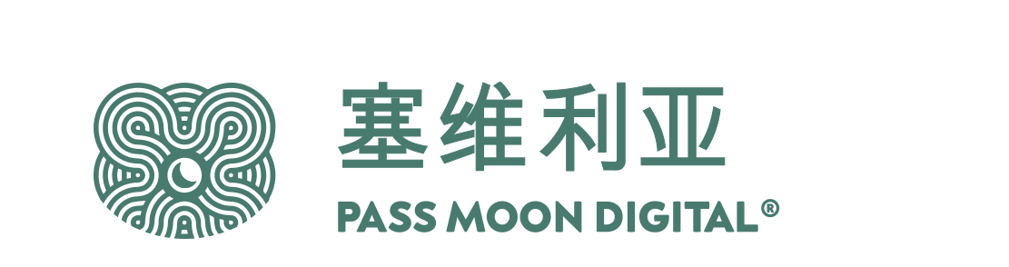 塞维利亚通票